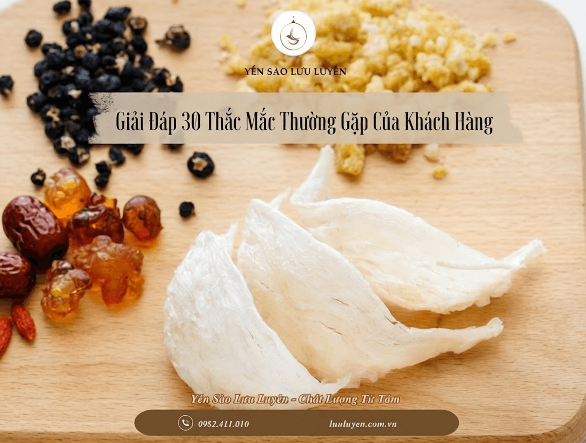Hỏi Đáp Yến Sào: Giải Đáp 30 Thắc Mắc Thường Gặp Của Khách Hàng