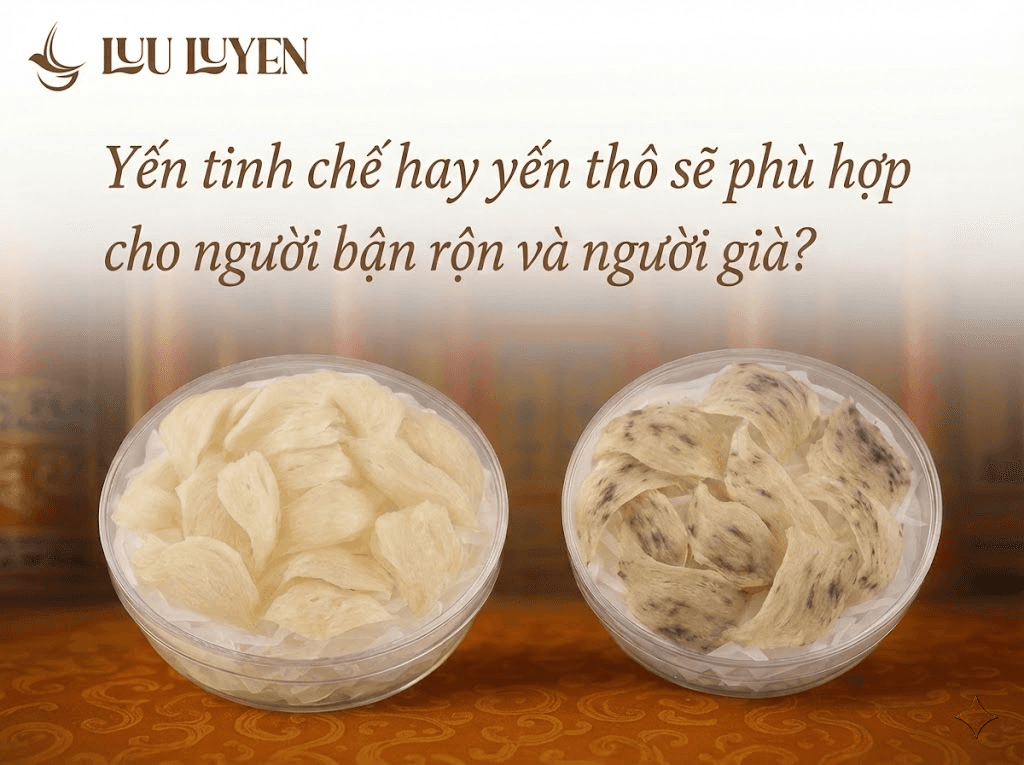 Yến tinh chế hay yến thô: loại nào phù hợp cho người bận rộn và người già?