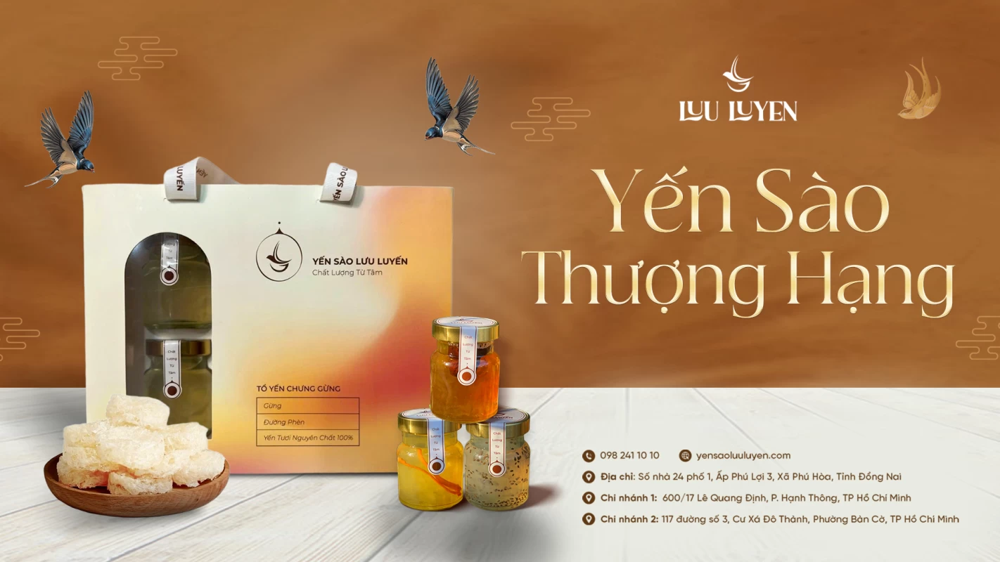 yến sào lưu luyến
