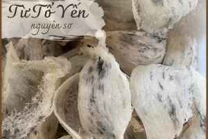 Quy trình sản xuất Yến Sào Lưu Luyến