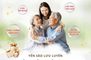 Yến Sào – Nguồn Dinh Dưỡng Tự Nhiên Cho Sức Khỏe Toàn Diện
