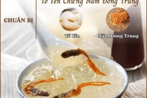 TỔ YẾN CHƯNG NẤM ĐÔNG TRÙNG – MÓN QUÀ “VÀNG” CHO SỨC KHỎE VÀ TUỔI TRẺ