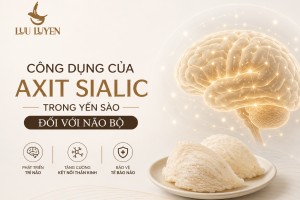 Axit Sialic Trong Yến Sào - "Vàng Lỏng" Cho Não Bộ & Sự Tập Trung