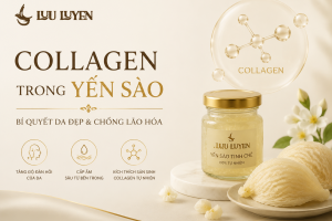 Collagen Tự Nhiên Trong Yến Sào - Bí Quyết Da Đẹp & Chống Lão Hóa