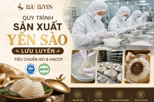 Quy Trình Sản Xuất Yến Sào Lưu Luyến - Tiêu Chuẩn ISO & HACCP