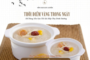 Thời điểm vàng uống yến tinh chế để hấp thu tốt nhất