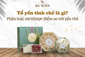 Tổ yến tinh chế là gì? Phân loại, ưu nhược điểm so với yến thô