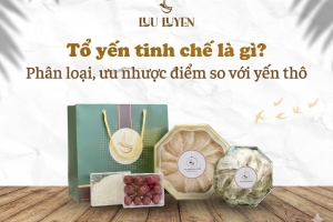 Tổ yến tinh chế là gì? Phân loại, ưu nhược điểm so với yến thô