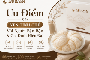 Ưu Điểm Của Yến Tinh Chế Với Người Bận Rộn & Gia Đình Hiện Đại