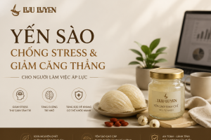 Yến Sào Chống Stress & Giảm Căng Thẳng Cho Người Làm Việc Áp Lực