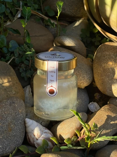 Set 6 Hũ Yến Chưng Gừng Tiệt Trùng Premium (Hũ/75ml)