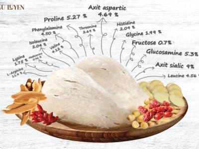 18 Loại Axit Amin Trong Yến Sào & Tác Dụng Với Sức Khỏe