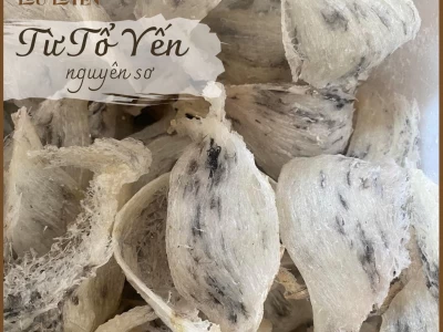 Quy trình sản xuất Yến Sào Lưu Luyến