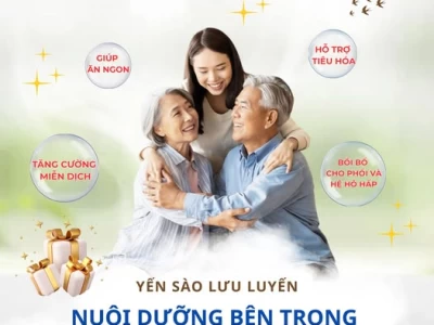Yến Sào – Nguồn Dinh Dưỡng Tự Nhiên Cho Sức Khỏe Toàn Diện