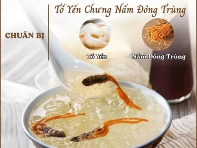 TỔ YẾN CHƯNG NẤM ĐÔNG TRÙNG – MÓN QUÀ “VÀNG” CHO SỨC KHỎE VÀ TUỔI TRẺ