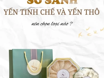 Cách Dùng Yến Sào Đúng Cách – Dinh Dưỡng Tự Nhiên Cho Sức Khỏe Toàn Diện