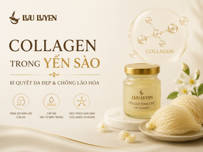 Collagen Tự Nhiên Trong Yến Sào - Bí Quyết Da Đẹp & Chống Lão Hóa