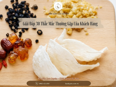 Hỏi Đáp Yến Sào: Giải Đáp 30 Thắc Mắc Thường Gặp Của Khách Hàng