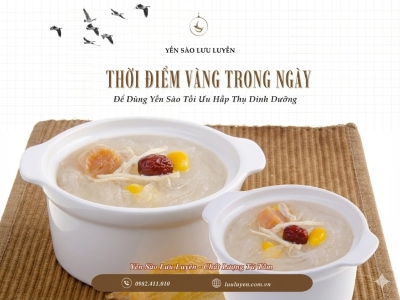 Thời điểm vàng uống yến tinh chế để hấp thu tốt nhất