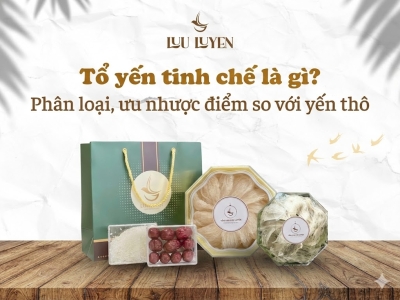 Tổ yến tinh chế là gì? Phân loại, ưu nhược điểm so với yến thô