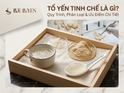 Tổ Yến Tinh Chế Là Gì? Quy Trình, Phân Loại & Ưu Điểm Chi Tiết