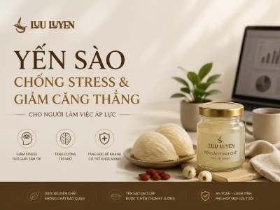 Yến Sào Chống Stress & Giảm Căng Thẳng Cho Người Làm Việc Áp Lực