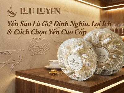 Yến Sào Là Gì? Định Nghĩa, Lợi Ích & Cách Chọn Yến Cao Cấp