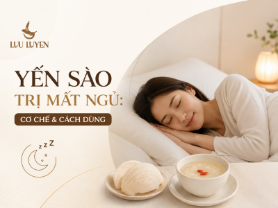 Yến Sào Giúp Ngủ Ngon: Cơ Chế & Cách Dùng Để Có Giấc Ngủ Sâu
